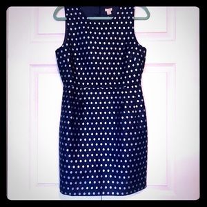 NWT JCrew Blue with polka dots dress